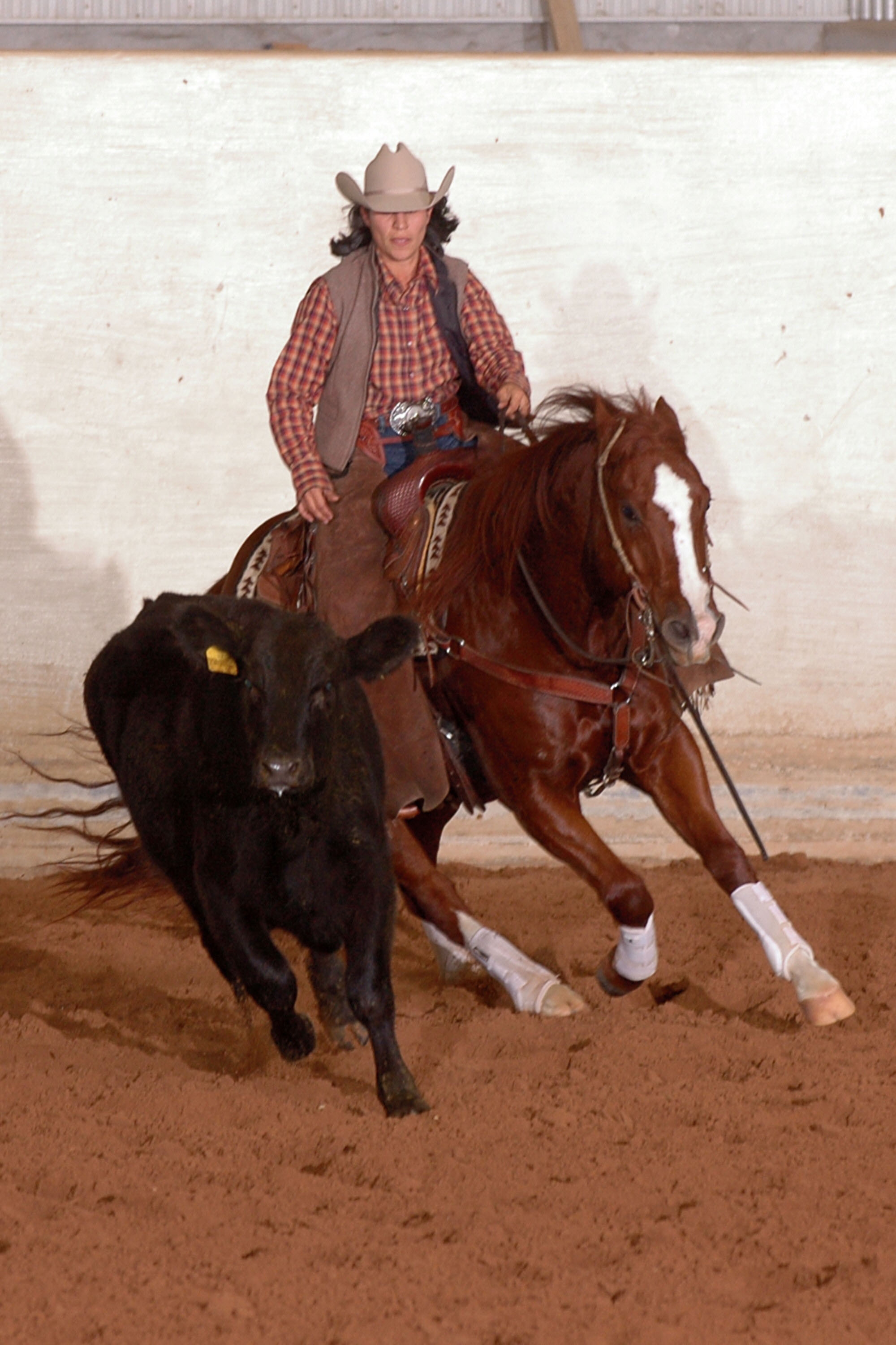 Laurie Shelton Superior Merit Award.JPG